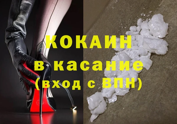 сатива Кукмор