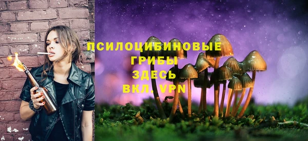 стаф Куйбышев
