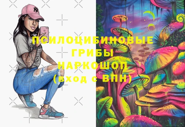 сатива Кукмор