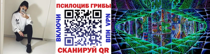 Псилоцибиновые грибы Magic Shrooms  Купить  Анапа 